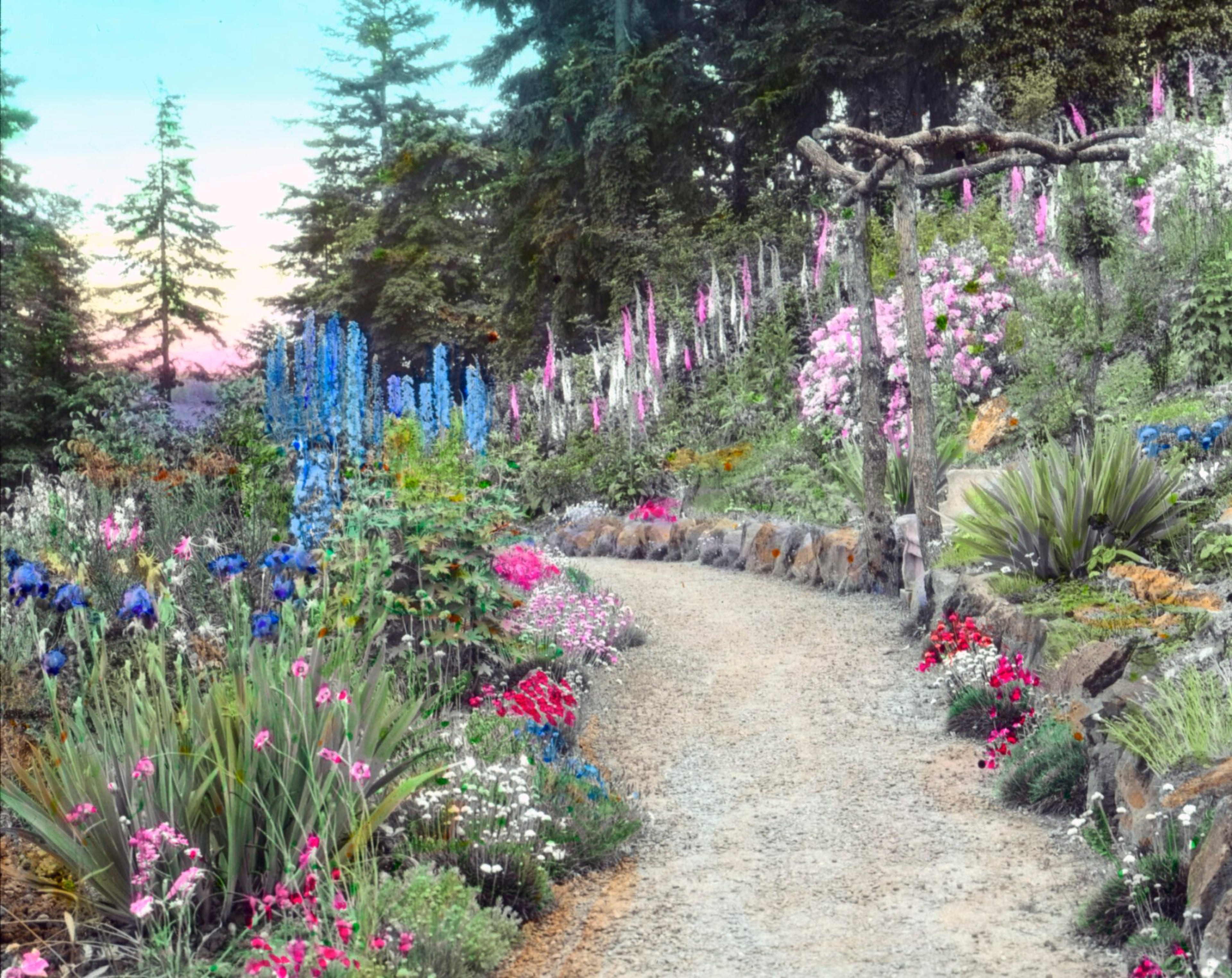 Hand-tinted image of Elk Rock Garden, 1925. Photo courtesy of the Kerr Family. Olmstead.org