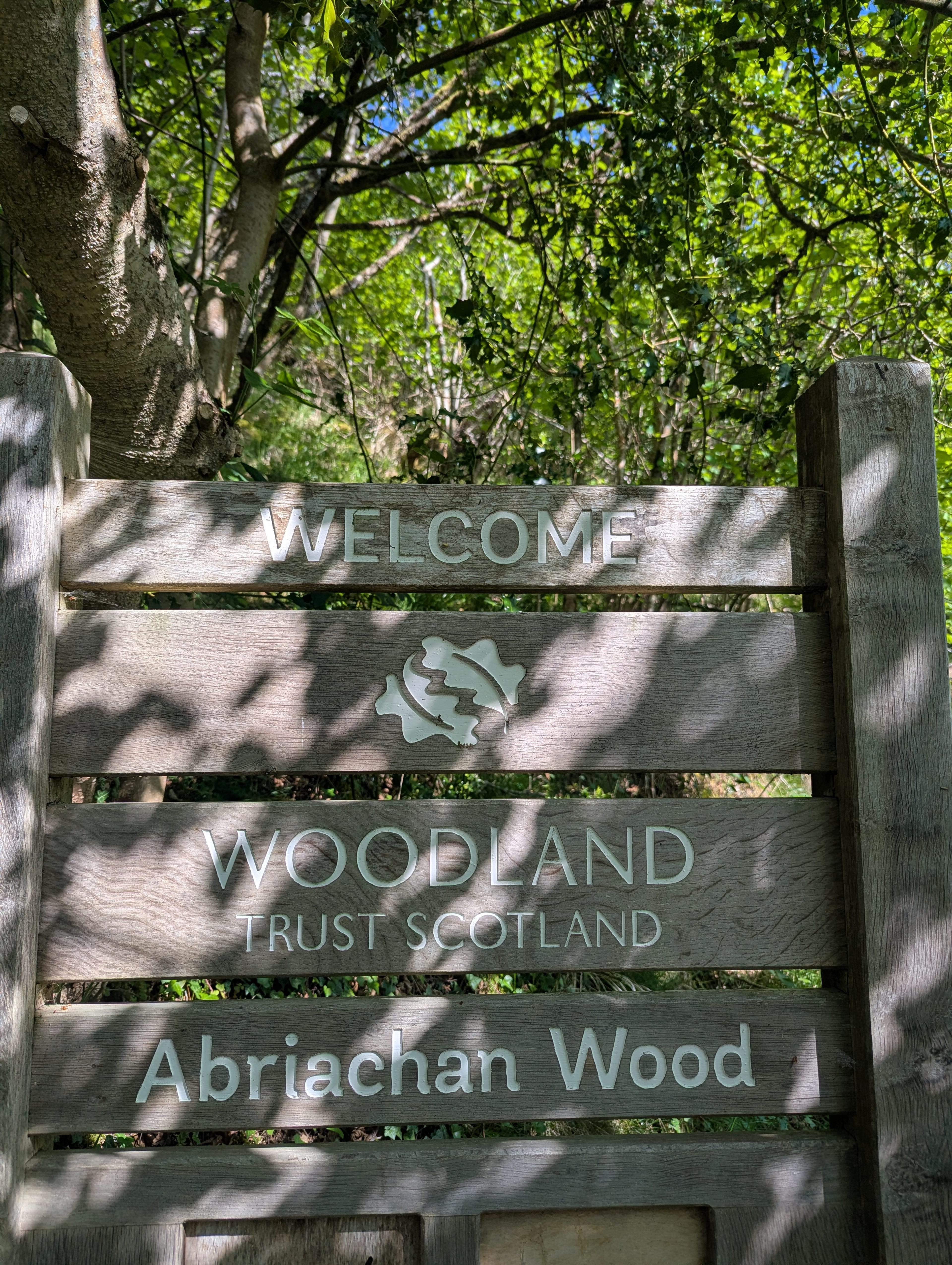 Welcome Abriachan Wood, Woodland Trust Scotland